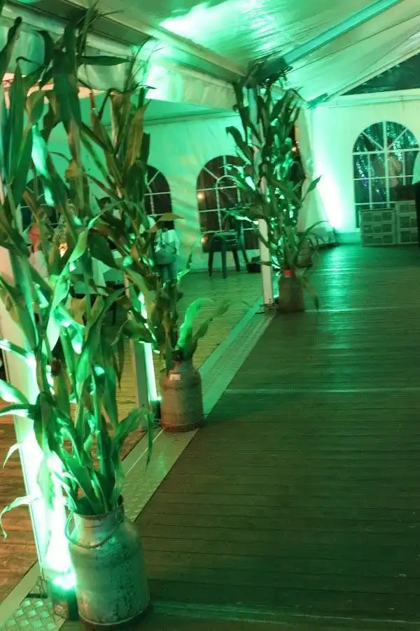 Ambientebeleuchtung Uplightning